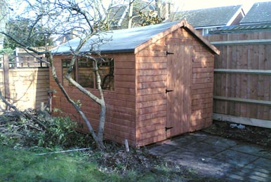  -framed sheds with shingled roofs, windows, and electrical outlets