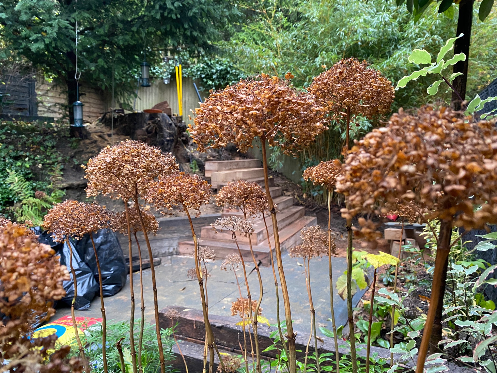 Are we paving too much of our gardens?