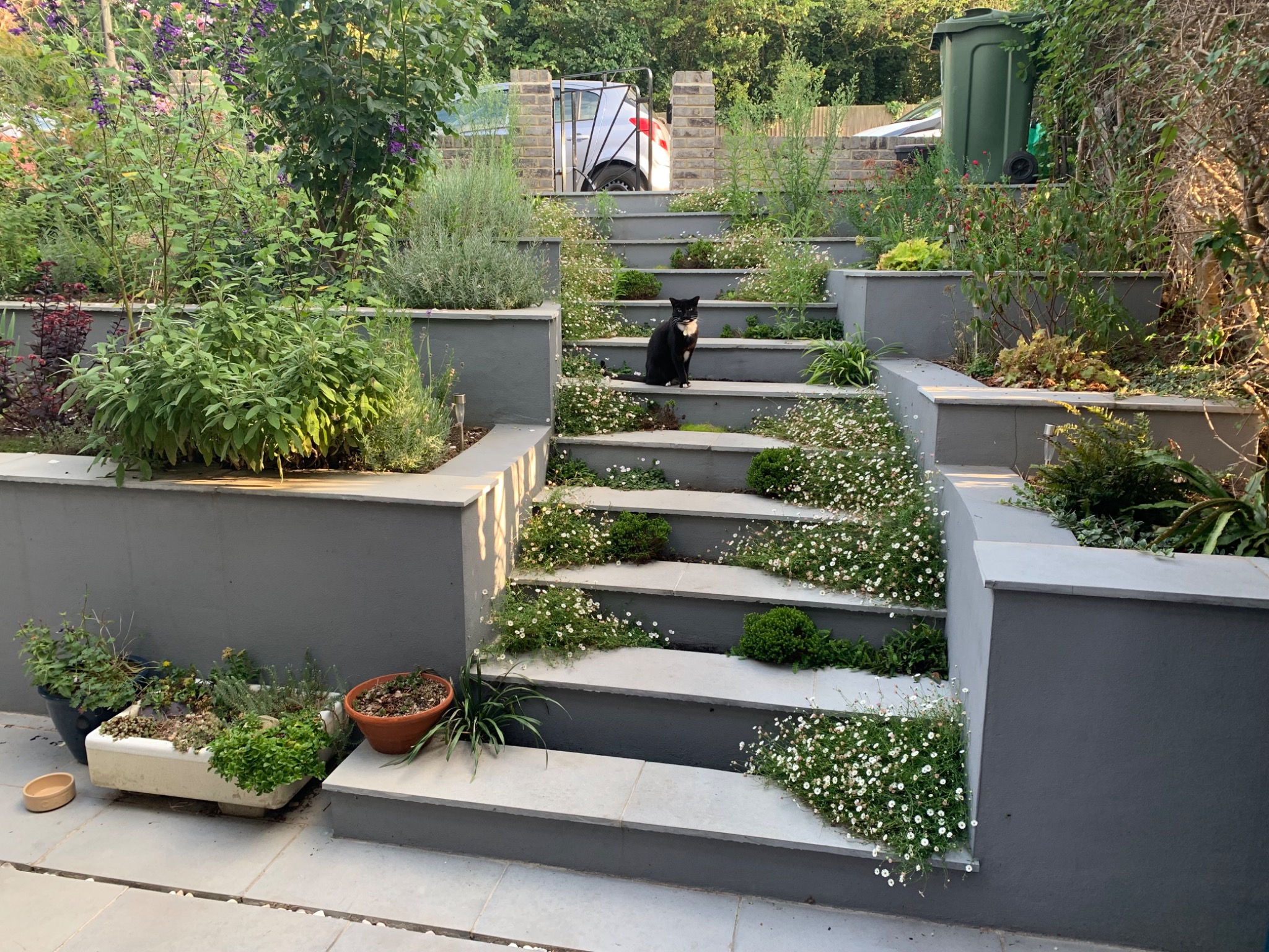 Garden Walls Are Doing More Work Than You Think