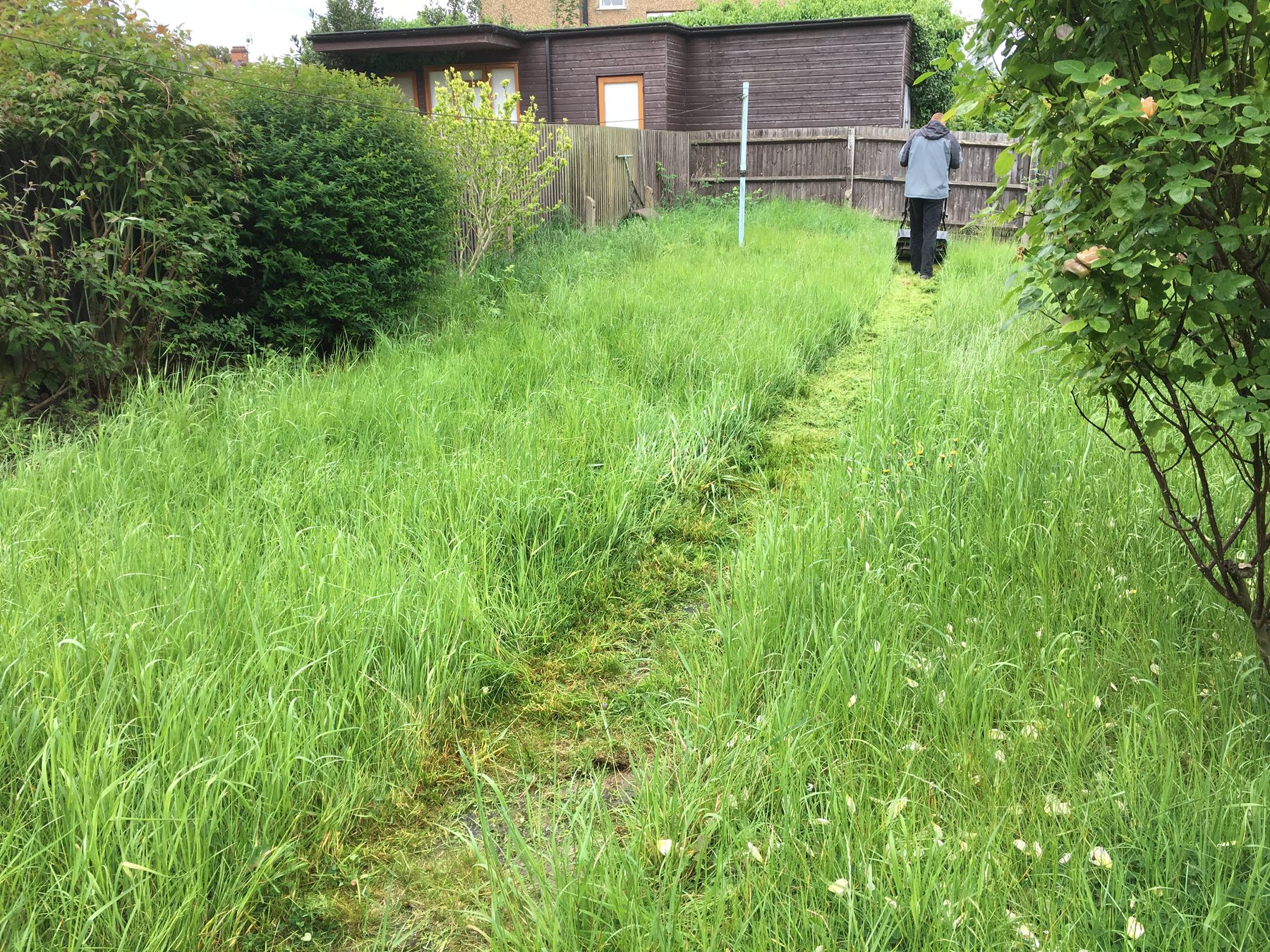 Why Dry Ground Can Make Heavy Rain More Difficult