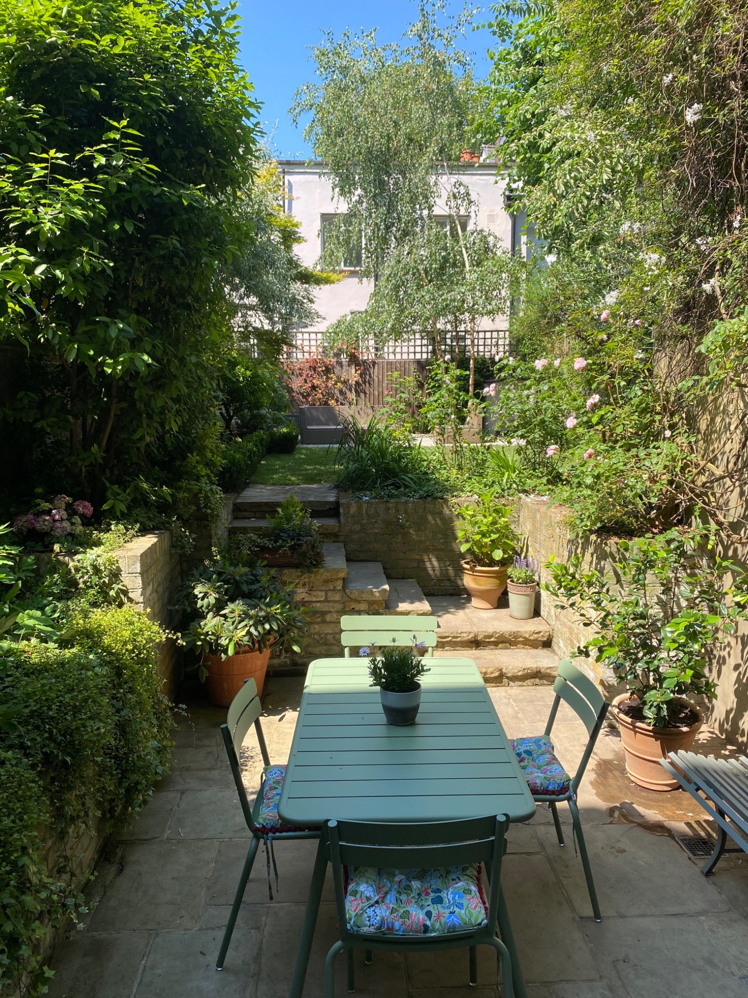 Mature trees and planting shading a London garden terrace